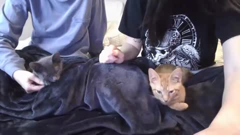 Goddess Raven online show from December 6, 11:47 pm