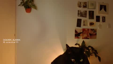 Alaska online show from November 5, 11:05 pm