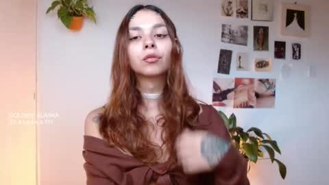 Alaska online show from November 11, 11:54 am