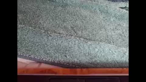 Snapshot of goodboyzon chatting on December 8, 3:45 pm goodboy online show from December 8, 3:45 pm