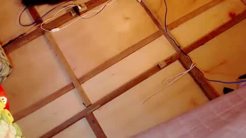 Snapshot of gorgeous_mafia16 chatting on February 16, 5:37 pm Janna Marie online show from February 16, 5:37 pm