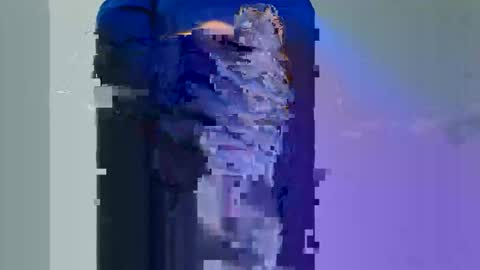 Longwood online show from November 30, 1:59 pm