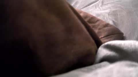 Get US to 1000 you wont be disapointed online show from December 16, 4:13 am