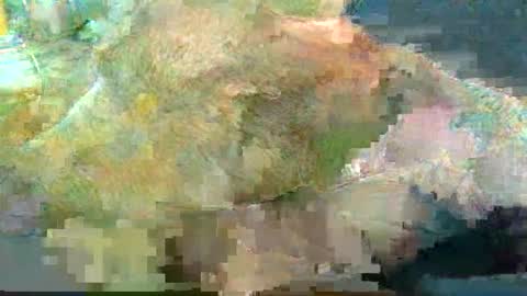 greatbiggs6969 online show from January 2, 2:35 pm