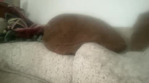 Sonny online show from December 21, 6:04 pm