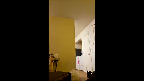 greenvertgo online show from December 15, 12:59 am