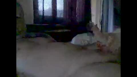 grittslappa online show from November 14, 12:42 am