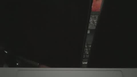 Groot online show from March 8, 3:27 pm