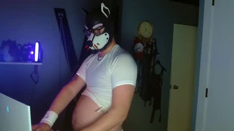 Snapshot of growingcub94 chatting on October 8, 9:29 am Alpha pup online show from October 8, 9:29 am