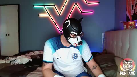 Snapshot of growingcub94 chatting on November 1, 7:16 pm Alpha pup online show from November 1, 7:16 pm