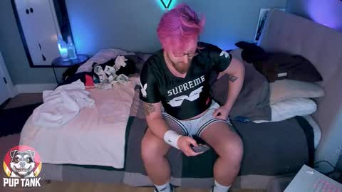 Snapshot of growingcub94 chatting on November 11, 10:21 pm Alpha pup online show from November 11, 10:21 pm