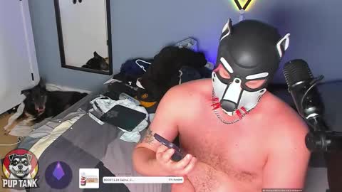 Snapshot of growingcub94 chatting on November 23, 7:35 pm Alpha pup online show from November 23, 7:35 pm