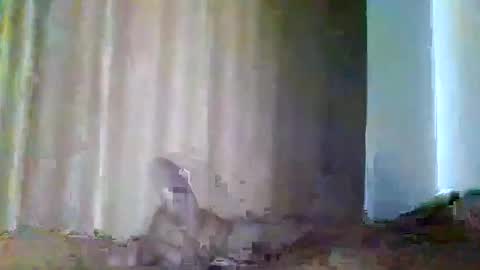 grupalenfection online show from February 7, 1:53 pm