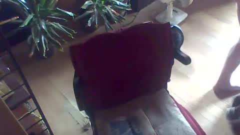 Guido online show from July 26, 10:55 am