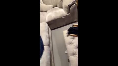 gt79802068 online show from November 11, 7:03 pm