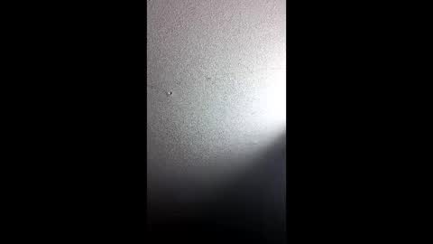 gudonoso online show from December 16, 8:19 am