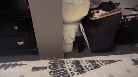 gumbywanna online show from December 20, 1:36 am