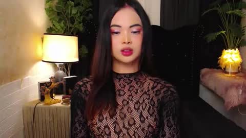 haily online show from November 11, 2:33 am