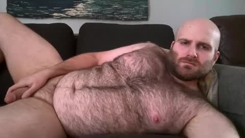 Snapshot of hairiestbear chatting on February 11, 4:02 pm Hairiest Bear online show from February 11, 4:02 pm