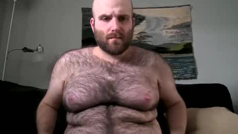 Snapshot of hairiestbear chatting on February 17, 7:42 pm Hairiest Bear online show from February 17, 7:42 pm