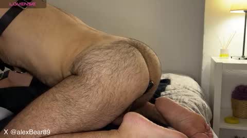 hairyarabbear online show from September 12, 9:48 pm