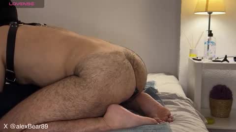 hairyarabbear online show from September 13, 11:59 pm
