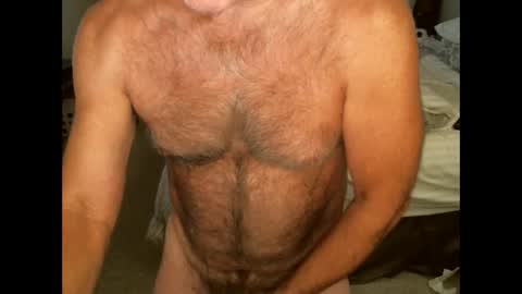 Snapshot of hairypecsguy chatting on October 2, 6:31 am Hairy pecs online show from October 2, 6:31 am
