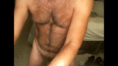 Snapshot of hairypecsguy chatting on November 11, 4:45 am Hairy pecs online show from November 11, 4:45 am