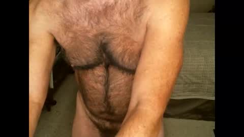Snapshot of hairypecsguy chatting on November 28, 8:39 am Hairy pecs online show from November 28, 8:39 am