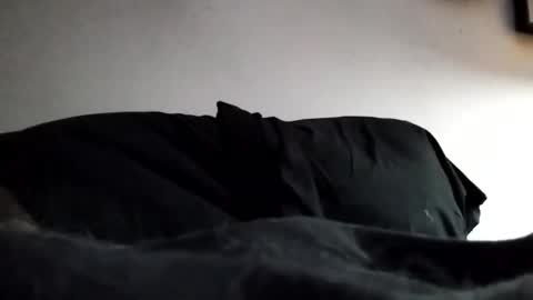 Snapshot of hairyspermballs chatting on February 3, 12:53 am Marty online show from February 3, 12:53 am