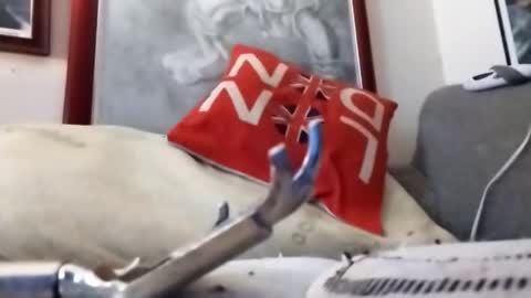 Marty online show from February 22, 9:24 pm