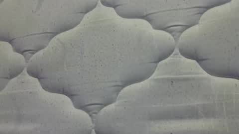 hamhead71 online show from April 15, 8:10 am