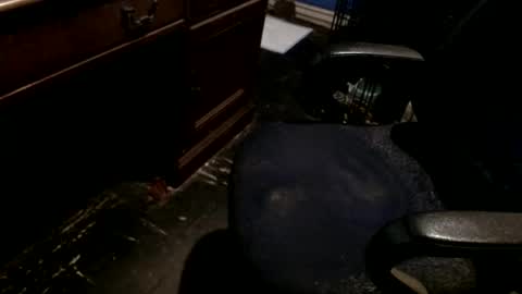 hammerhead973 online show from December 22, 8:17 pm