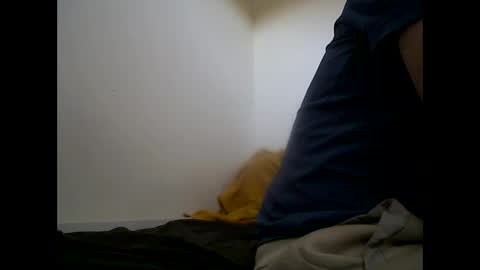 Snapshot of handsomepenis20cm chatting on April 29, 4:22 pm handsomepenis20cm online show from April 29, 4:22 pm