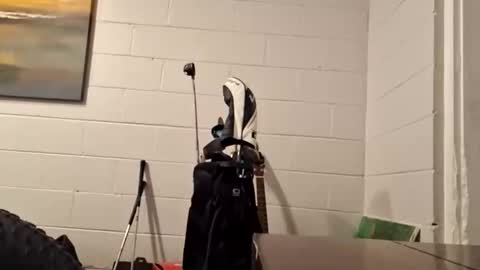 handylong88 online show from January 9, 10:11 pm