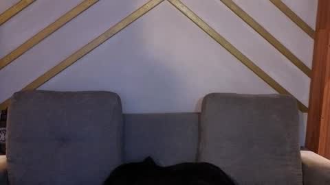 Snapshot of hanna_gatess chatting on November 22, 12:04 pm ANA online show from November 22, 12:04 pm