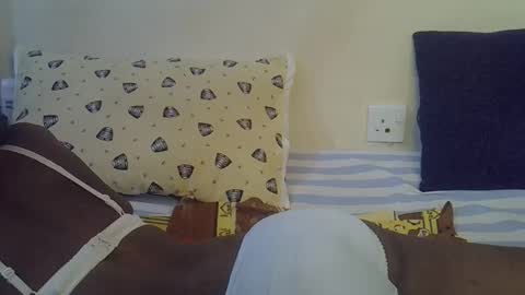 Snapshot of happy_kienyeji chatting on December 13, 7:53 pm happy_kienyeji online show from December 13, 7:53 pm