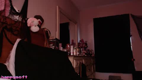 Snapshot of happysoft chatting on January 9, 5:04 pm meatwad online show from January 9, 5:04 pm