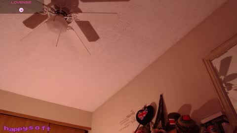 Snapshot of happysoft chatting on February 14, 2:25 pm meatwad online show from February 14, 2:25 pm