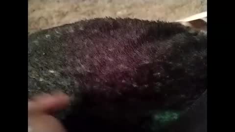 hardandhorny422 online show from October 13, 5:24 pm