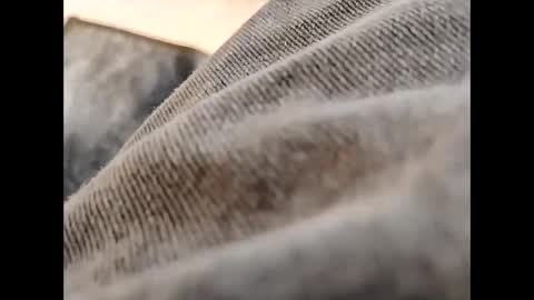 hardandhorny422 online show from October 30, 11:55 am