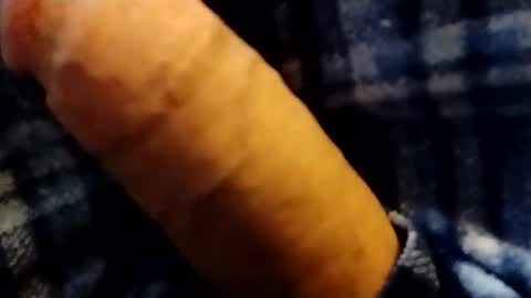 hardandhorny422 online show from February 1, 9:02 pm