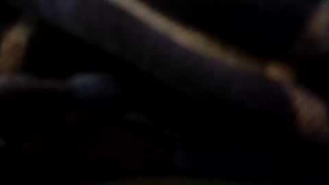 Snapshot of hardandhorny422 chatting on May 9, 7:30 pm hardandhorny422 online show from May 9, 7:30 pm