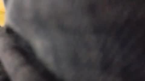 Snapshot of hardandhorny422 chatting on May 10, 5:18 pm hardandhorny422 online show from May 10, 5:18 pm
