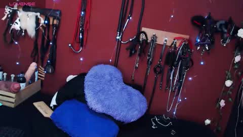 greta online show from November 27, 8:00 pm