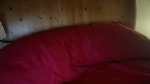 Harry H online show from January 13, 1:38 pm