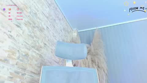 Snapshot of harper_ziu chatting on November 3, 12:17 pm harper_ziu online show from November 3, 12:17 pm