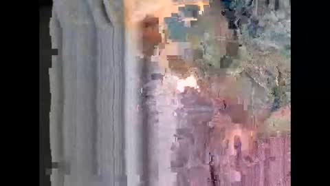 harruu online show from February 5, 2:38 am