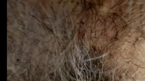 Snapshot of harry_banana chatting on February 21, 8:40 am harry_banana online show from February 21, 8:40 am