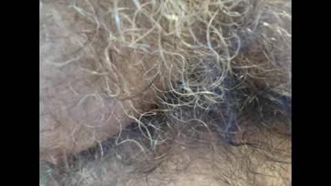 Snapshot of harry_banana chatting on September 11, 1:11 pm harry_banana online show from September 11, 1:11 pm